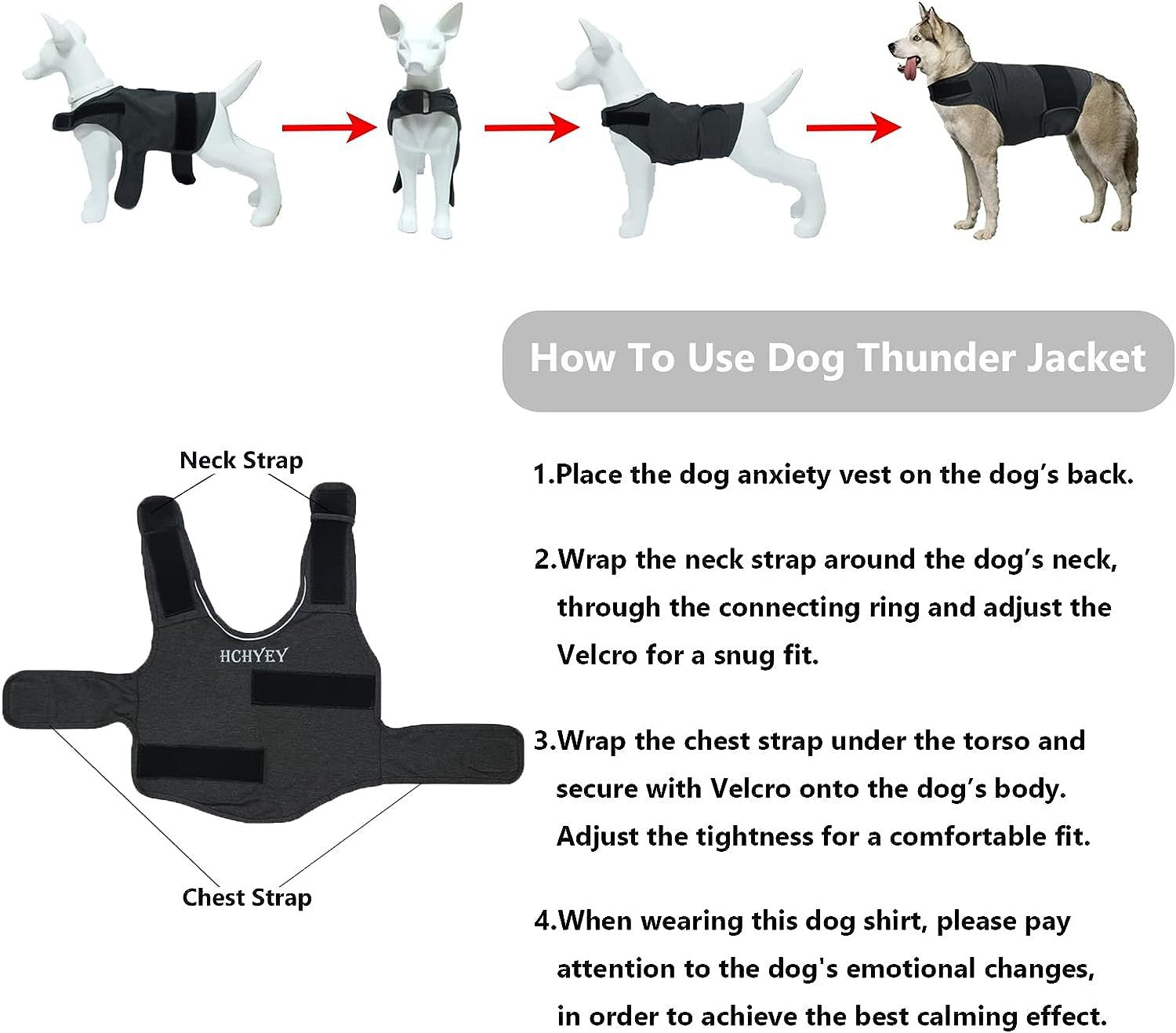 Pressure Wrap on dog