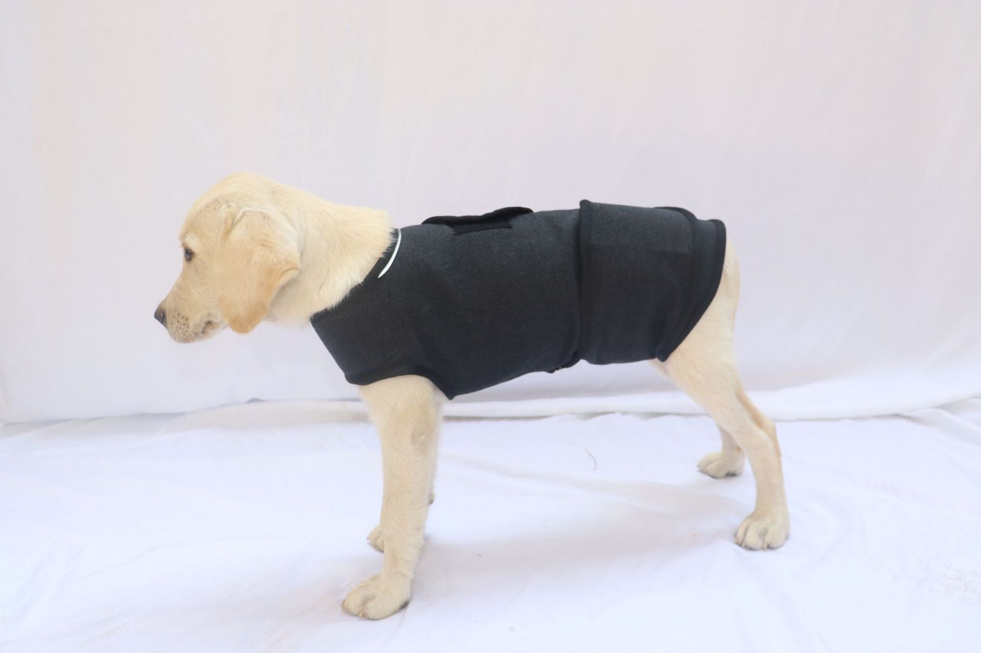 Pressure Wrap fit detail
