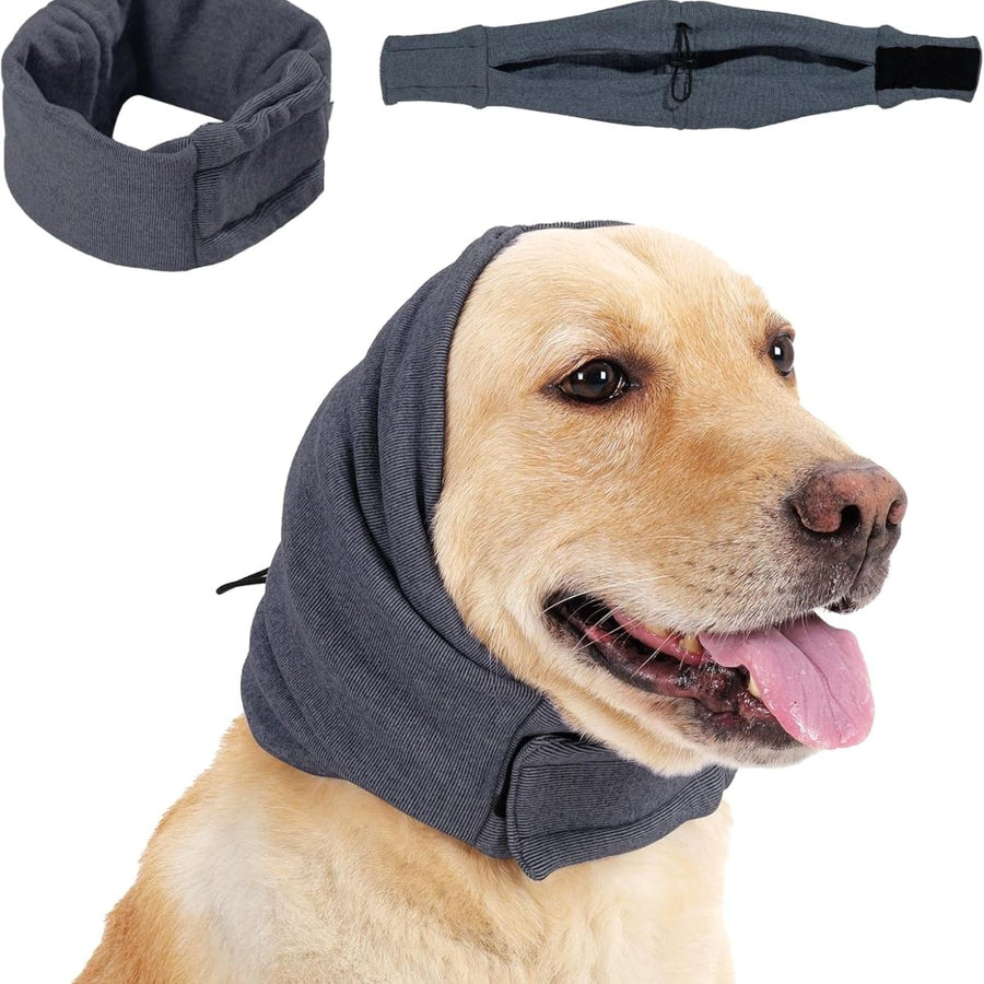 A calm dog wearing PupHush at home