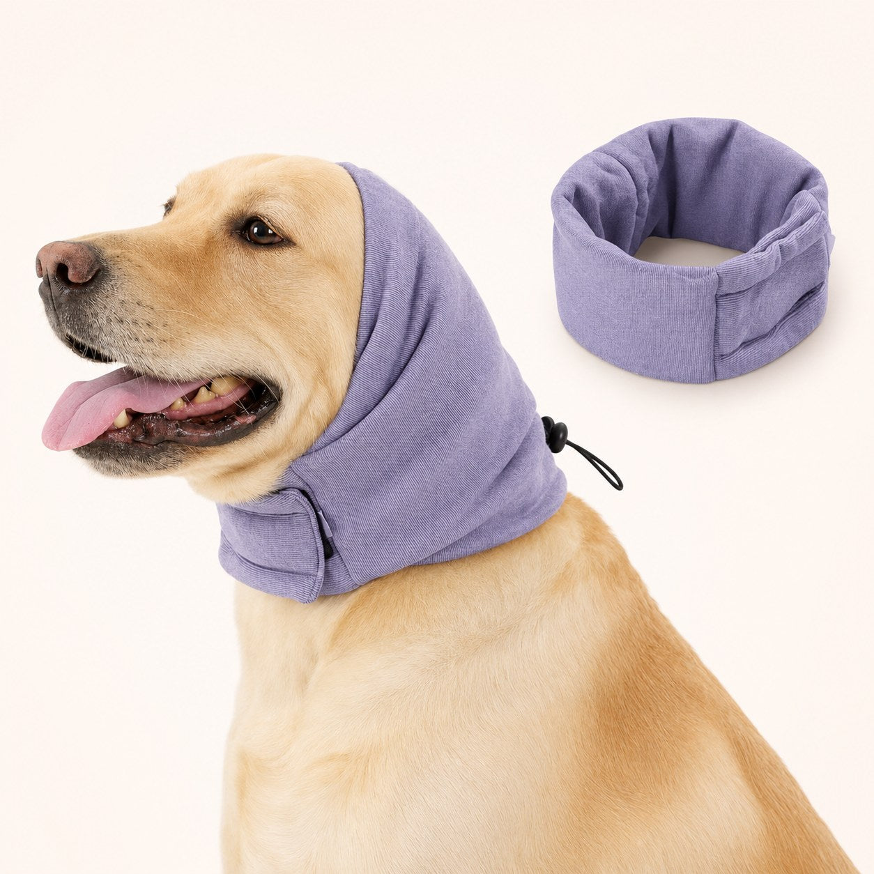 PupHush calming ear snood in lavender on a happy Labrador